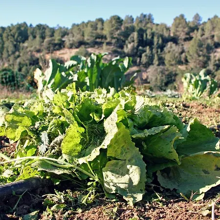 Hort De Mao Country house